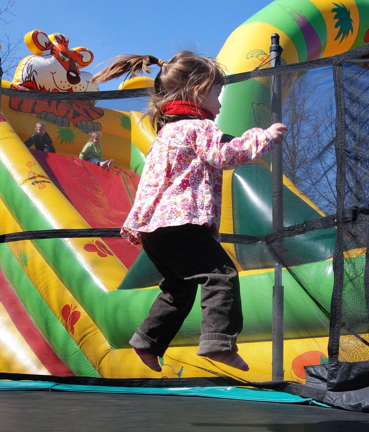 Bounce House Rentals Rochester Hills 2482744412